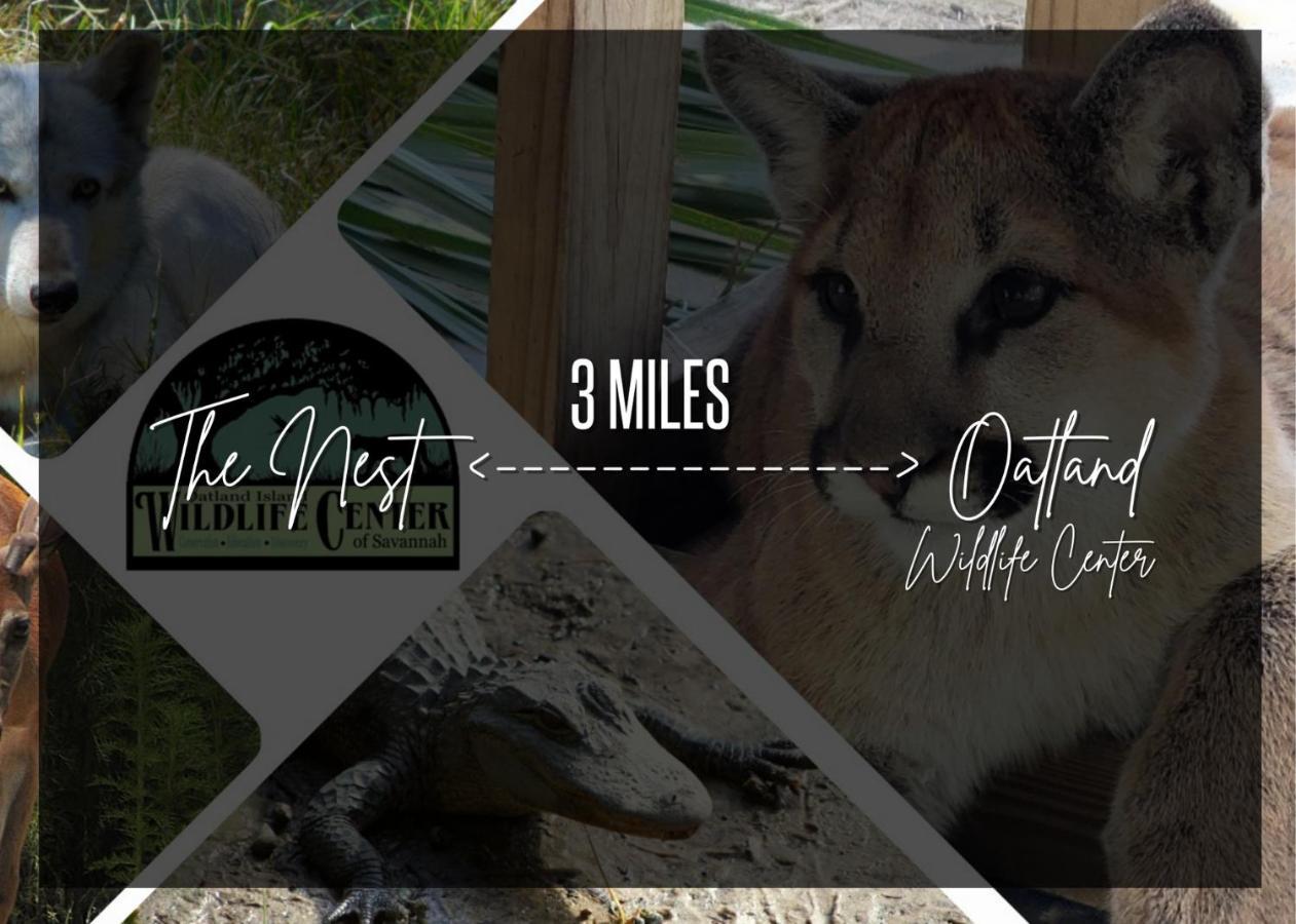 Cozy Oasis 15Min To Dt & Tybee, Home Away From Home - The Nest Σαβάνα Εξωτερικό φωτογραφία